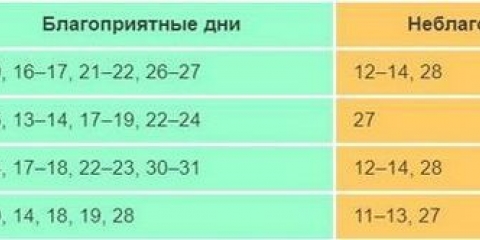 Sadnice paradajza 2021